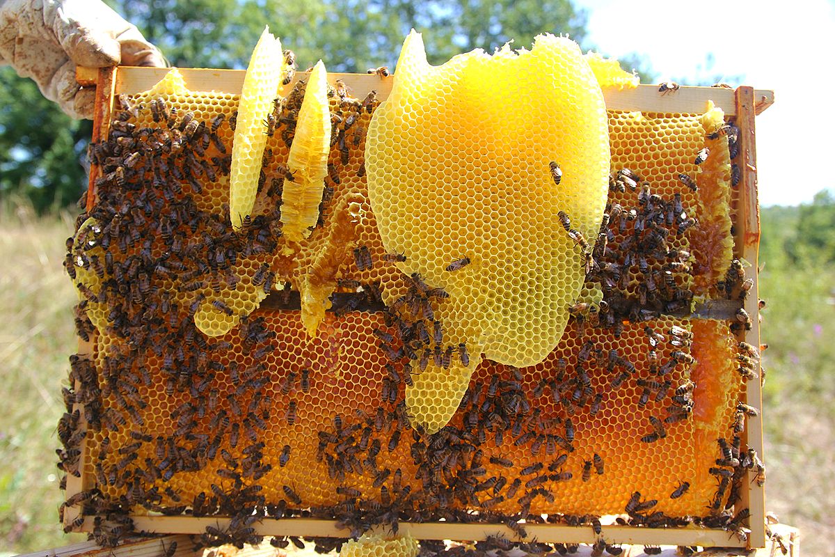 Μελισσοκέρι - κερί μέλισσας 100% Φυσικό 500γρ
