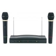 Συσκευή Karaoke με Δύο Ασύρματα Μικρόφωνα wireless AT-307