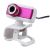 Webcam USB Digital Camera pc με μικρόφωνο 20 Mega Pixels VideoCam Logitaxd D170