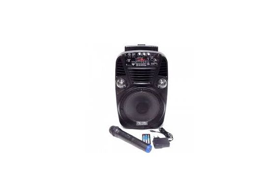 Multimedia Σύστημα karaoke με Ηχείο  Pmax 300W, Ασύρματο μικρόφωνο, USB/SD/Bluetooth Player, OEM ES-8