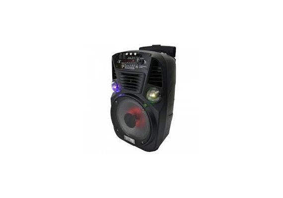 Multimedia Σύστημα karaoke με Ηχείο  Pmax 300W, Ασύρματο μικρόφωνο, USB/SD/Bluetooth Player, OEM ES-8