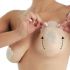 Ανόρθωση Στήθους με τα Αόρατα Αυτοκόλλητα Magic Up Bra